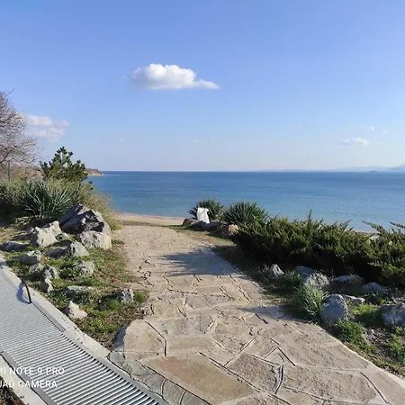 Николова Клара Burgas